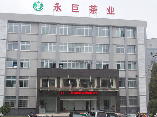 Yongju Tea Factory