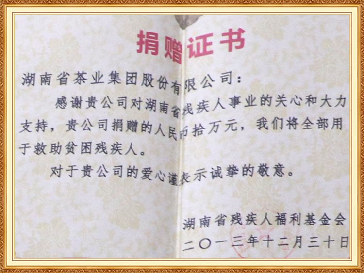 Hunan Province disability cause certificate