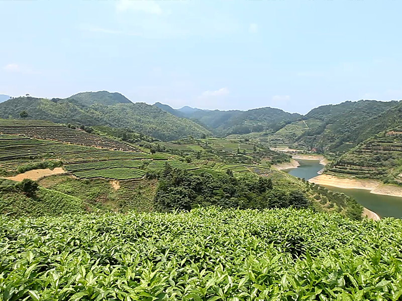 Anhua demonstration base