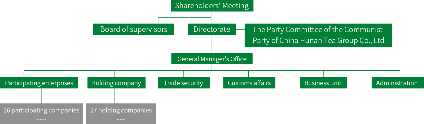 organizational structure