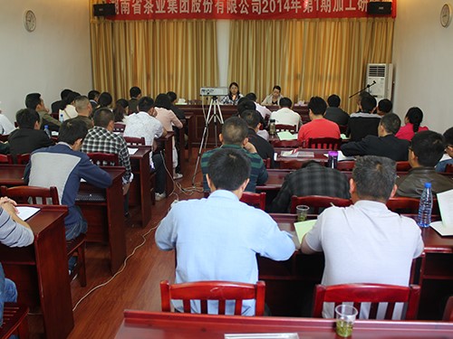 Base tea factory special training